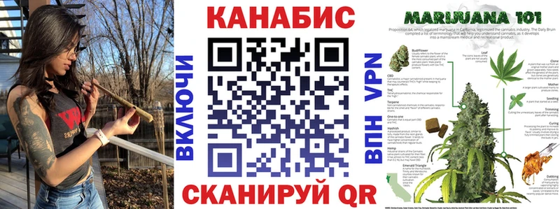 Бошки Шишки VHQ  Курган 